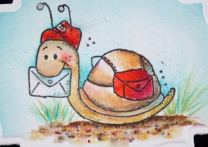 snail-mail-close-up